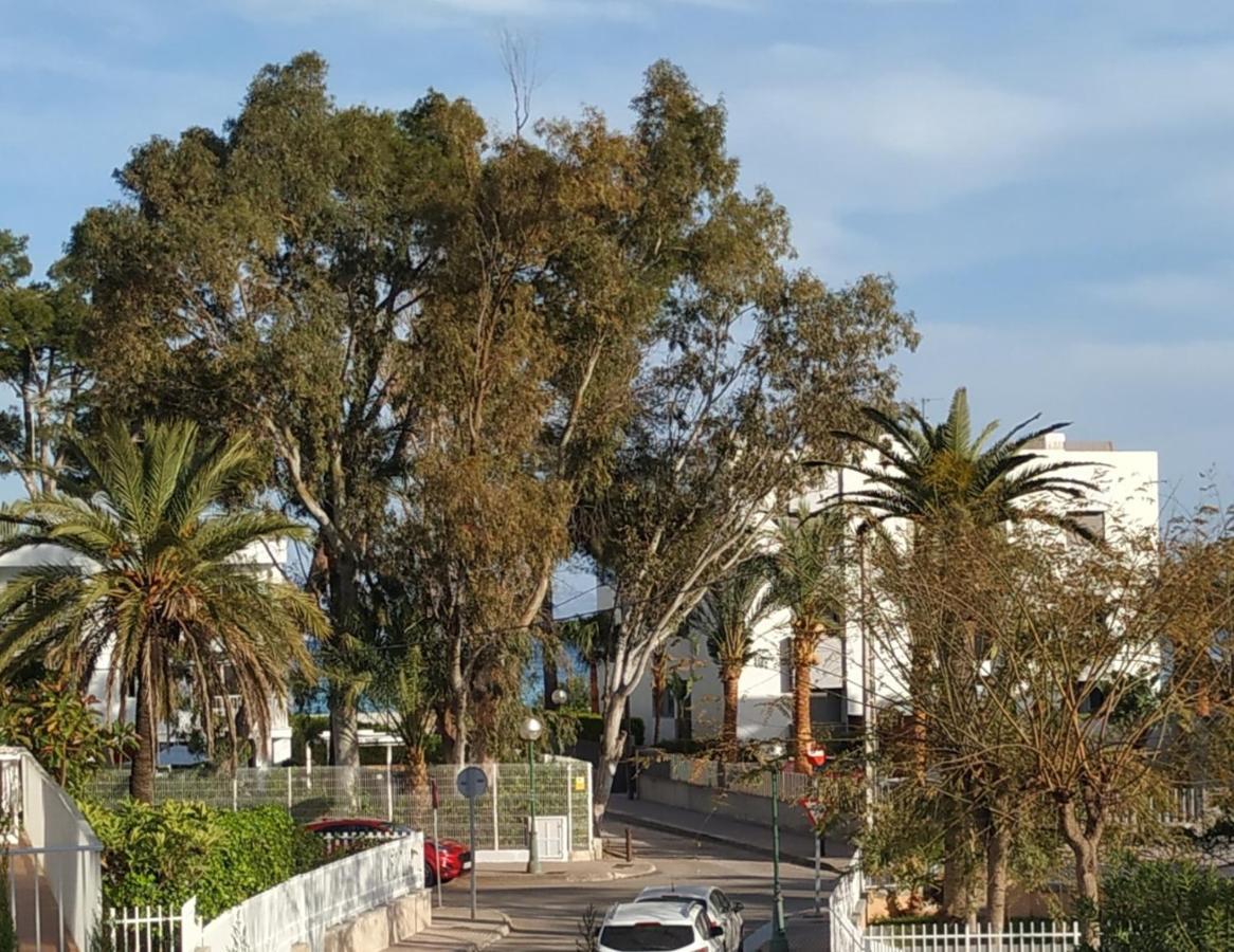 הוילה פורט ד'אלקודיה Casa Tritons מראה חיצוני תמונה